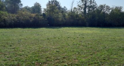 Saint-Maximin-la-Sainte-Baume Terrain à bâtir - 2432649-10744annonce120251019AqDox.jpeg Maisons Open