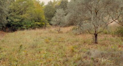 Saint-Maximin-la-Sainte-Baume Terrain à bâtir - 2432648-10744annonce220251019TlZwO.jpeg Maisons Open