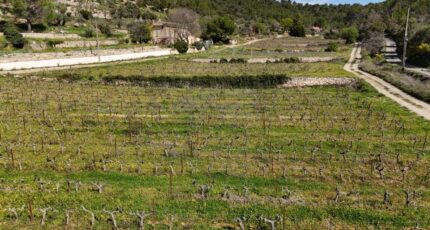 Cotignac Terrain à bâtir - 2432712-10744annonce120250916bN7WE.jpeg Maisons Open