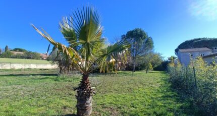 Vidauban Terrain à bâtir - 2433376-9911annonce320260218a8AtG.jpeg Maisons Open