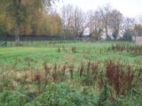 2436690-3326annonce120260221ln42z.jpeg Maisons Open