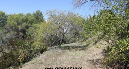 Colomars Terrain à bâtir - 2437262-10140annonce120260223rD978.jpeg Maisons Open