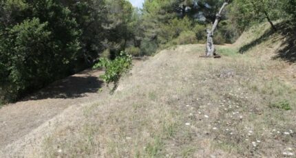 Colomars Terrain à bâtir - 2437262-10140annonce420260223ni8Dv.jpeg Maisons Open