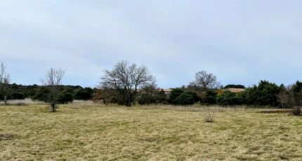 Saint-Remèze Terrain à bâtir - 2438224-5100annonce220260223RvkLc.jpeg Maisons Open