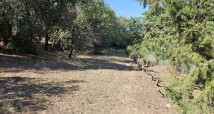 Roquebrune-sur-Argens Terrain à bâtir - 2438800-5163annonce220260224AL72D.jpeg Maisons Open