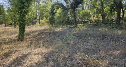 Callian Terrain à bâtir - 2438801-5163annonce220260224dBaiP.jpeg Maisons Open