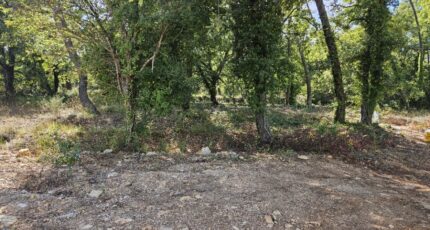 Callian Terrain à bâtir - 2438802-5163annonce220260224sHPcR.jpeg Maisons Open