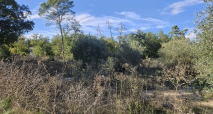 Callian Terrain à bâtir - 2438802-5163annonce420260224SkczC.jpeg Maisons Open