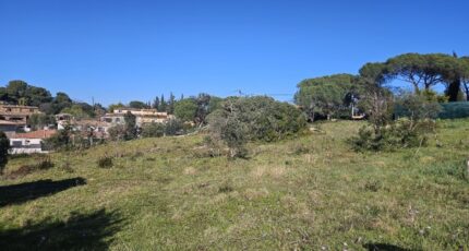 Roquebrune-sur-Argens Terrain à bâtir - 2438805-5163annonce320260224kcCDK.jpeg Maisons Open