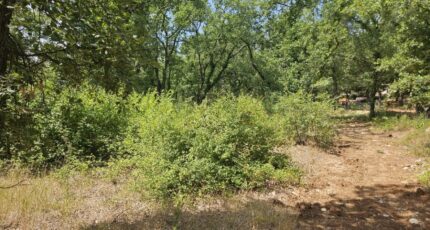 Callian Terrain à bâtir - 2438803-5163annonce320260224ZrsJr.jpeg Maisons Open