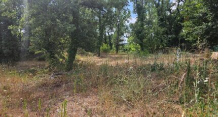 Callian Terrain à bâtir - 2438803-5163annonce420260224InNPc.jpeg Maisons Open