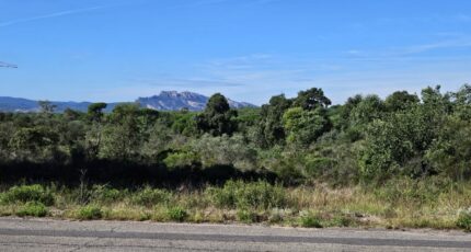 Puget-sur-Argens Terrain à bâtir - 2438807-5163annonce320260224mOiaE.jpeg Maisons Open