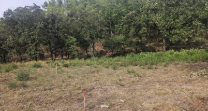 Taradeau Terrain à bâtir - 2438810-5163annonce120260224lBPfQ.jpeg Maisons Open