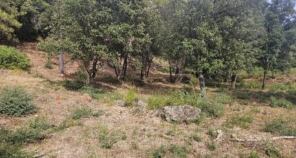 Taradeau Terrain à bâtir - 2438810-5163annonce4202602245EfB3.jpeg Maisons Open