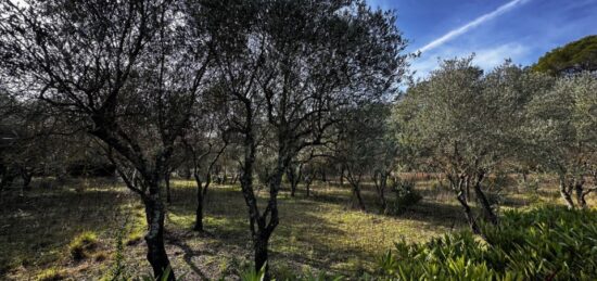 Terrain à bâtir à Lorgues, Provence-Alpes-Côte d'Azur