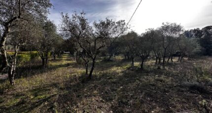 Lorgues Terrain à bâtir - 2439488-3701annonce220260224mqUUf.jpeg Maisons Open