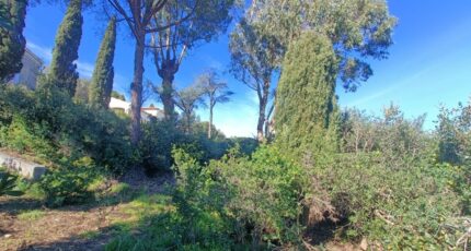 <br />
<b>Notice</b>:  Array to string conversion in <b>/var/www/maisons-open/wp-content/plugins/timber-library/vendor/twig/twig/src/Environment.php(497) : eval()'d code</b> on line <b>215</b><br />
Array Terrain à bâtir - 2440234-9911annonce2202602254MV1z.jpeg Maisons Open