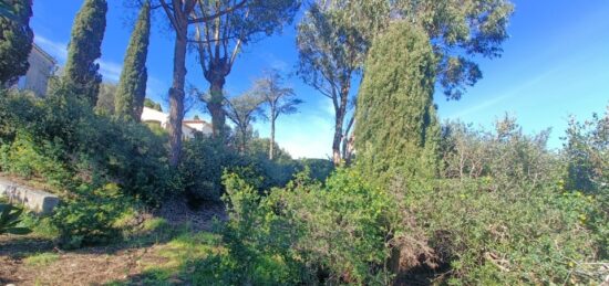 <br />
<b>Notice</b>:  Array to string conversion in <b>/var/www/maisons-open/wp-content/plugins/timber-library/vendor/twig/twig/src/Environment.php(497) : eval()'d code</b> on line <b>248</b><br />
Terrain à bâtir à , Array