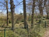  2440787-4684annonce1202602258rgNf.jpeg Maisons Open