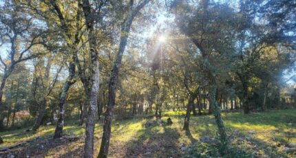 Le Thoronet Terrain à bâtir - 2440996-10744annonce2202602250ZXmy.jpeg Maisons Open