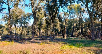 Le Thoronet Terrain à bâtir - 2440996-10744annonce320260225HEepH.jpeg Maisons Open