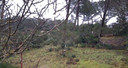 Garéoult Terrain à bâtir - 2442051-10746annonce120260226bppZk.jpeg Maisons Open