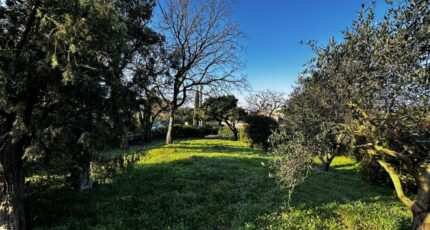 Puget-sur-Argens Terrain à bâtir - 2444174-3701annonce120260228b3HGM.jpeg Maisons Open