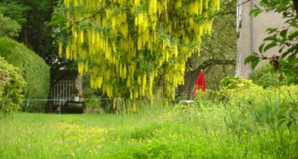 Marcilly Terrain à bâtir - 2444099-10626annonce120260228az8RK.jpeg Maisons Open