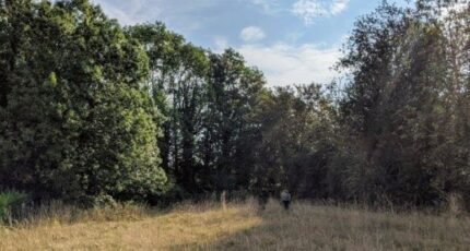 Haussy Terrain à bâtir - 2410689-7246annonce120260128lGTMF.jpeg Maisons Open