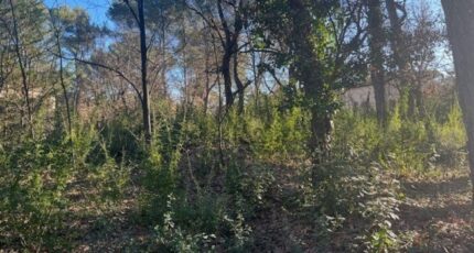 Gréasque Terrain à bâtir - 2410848-7060annonce420250827gxZtG.jpeg Maisons Open