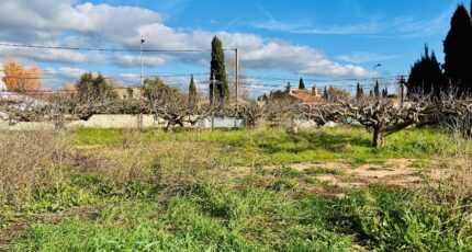 La Farlède Terrain à bâtir - 2446121-4866annonce220260303WcBam.jpeg Maisons Open