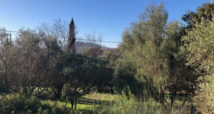 Carnoules Terrain à bâtir - 2446142-4866annonce420260303Kgo1B.jpeg Maisons Open