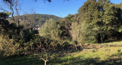 Carnoules Terrain à bâtir - 2446142-4866annonce520260303ZNq7o.jpeg Maisons Open