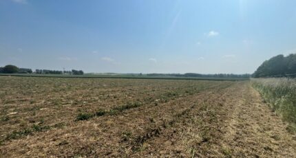 Thélus Terrain à bâtir - 2446496-10222annonce22026030319ZzO.jpeg Maisons Open