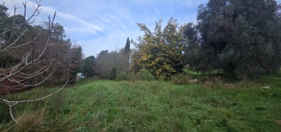 Terrain à bâtir à Valbonne, Provence-Alpes-Côte d'Azur