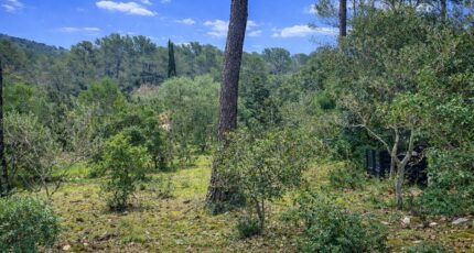 Garéoult Terrain à bâtir - 2447602-11137annonce420260304wQZPz.jpeg Maisons Open