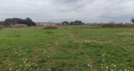 Salles-d'Aude Terrain à bâtir - 2447681-11782annonce1202603043tlkL.jpeg Maisons Open