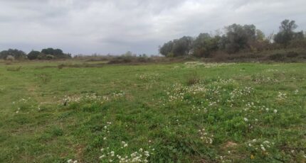 Salles-d'Aude Terrain à bâtir - 2447681-11782annonce120260304QVcLg.jpeg Maisons Open