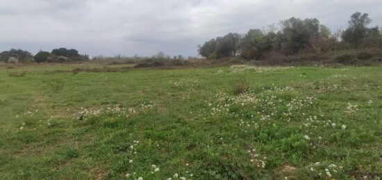 Terrain à bâtir à , Aude