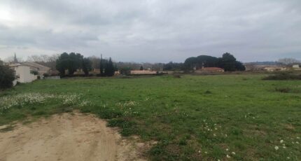 Salles-d'Aude Terrain à bâtir - 2447681-11782annonce2202603044D5iT.jpeg Maisons Open