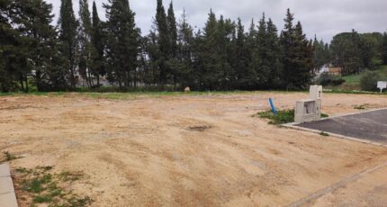 Narbonne Terrain à bâtir - 2447864-11782annonce120260304T0RpE.jpeg Maisons Open