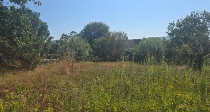 Carros Terrain à bâtir - 2447661-11201annonce120260304v9VPL.jpeg Maisons Open