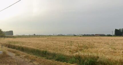 Merville Terrain à bâtir - 2448344-1215annonce120260305eWJGO.jpeg Maisons Open