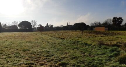 Saint-Jory Terrain à bâtir - 2449282-5202annonce2202603066mzw3.jpeg Maisons Open