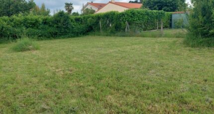 Fenouillet Terrain à bâtir - 2448073-11356annonce220260305w7kVI.jpeg Maisons Open