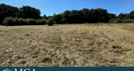 Saint-Palais-sur-Mer Terrain à bâtir - 2450648-11784annonce120260309RfJ6k.jpeg Maisons Open