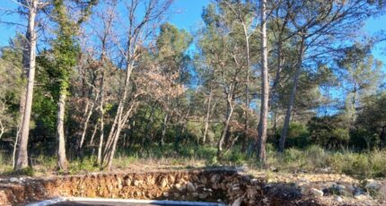 Rocbaron Terrain à bâtir - 2446942-5922annonce12026030453JIf.jpeg Maisons Open