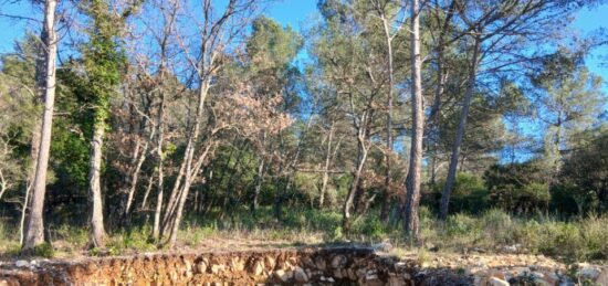 Terrain à bâtir à Rocbaron, Provence-Alpes-Côte d'Azur