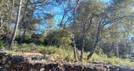 Rocbaron Terrain à bâtir - 2446942-5922annonce2202603040X3su.jpeg Maisons Open