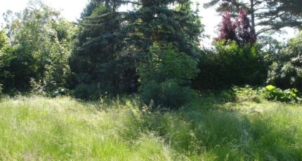 Beton-Bazoches Terrain à bâtir - 2388806-4353annonce120260112VTTN0.jpeg Maisons Open